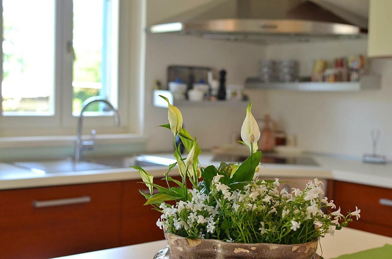 Holiday home Sverko Novigrad Istria Exteriör bild